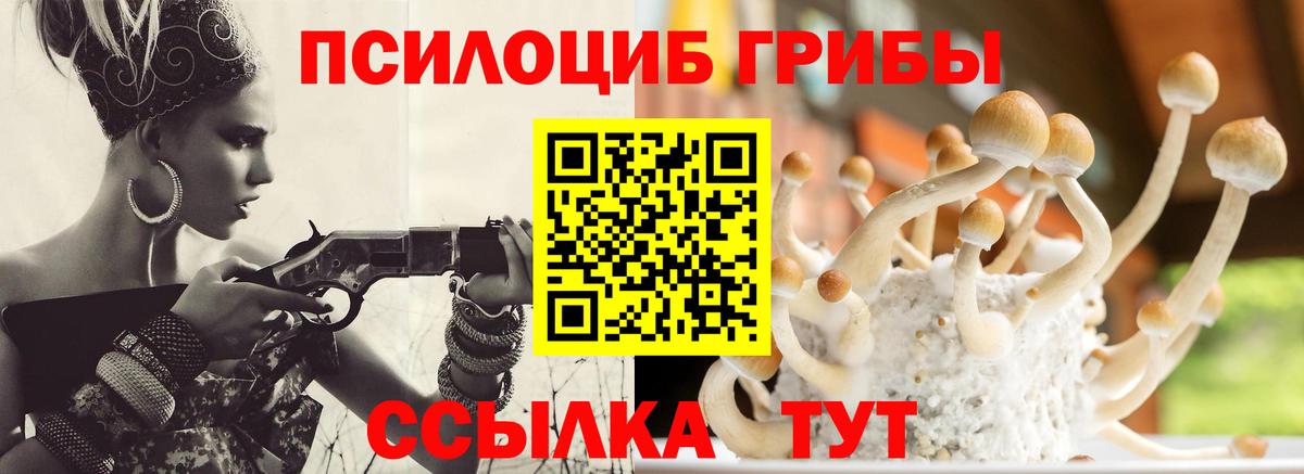 Ханты-Мансийск  Псилоцибиновые грибы прущие грибы  Вход с VPN 